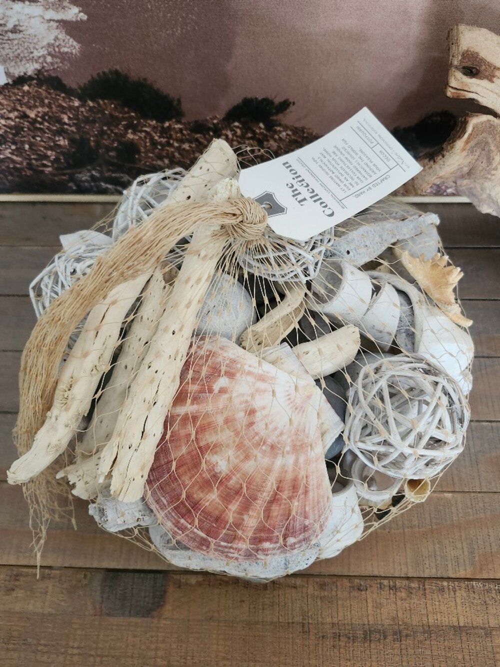 The Collection by Nature's Expressions Botanicals Beach Seashells Mix Decor NWT